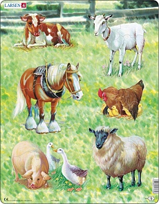 Пазл - Домашние животные, 34 детали (Larsen, X8k)